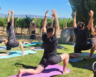 Napa Native Yoga in the Vineyards Experience image