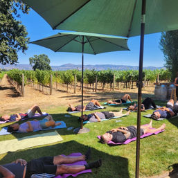 Napa Native Yoga in the Vineyards Experience image 2