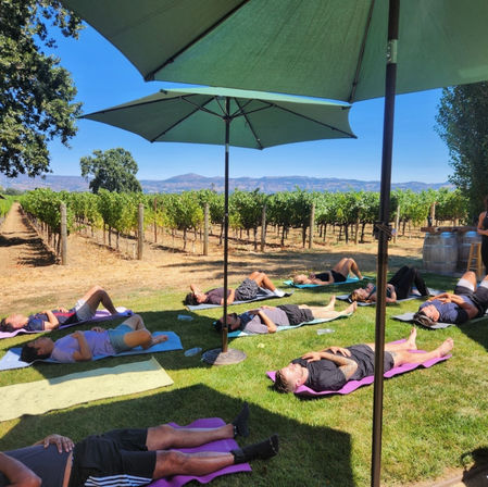 Napa Native Yoga in the Vineyards Experience image 2
