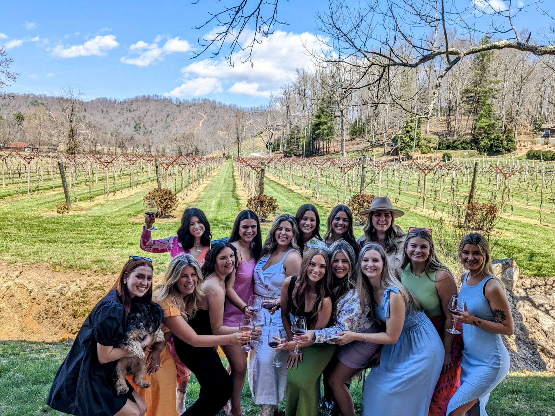 Boozy Wine Tour to 2 Blue Ridge Mountain Vineyards with Food & Wine Included image 1