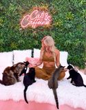 Thumbnail image for Insta-Worthy Private "Pawty" in Pink Floor-to-Ceiling Cat Cafe (BYOB)