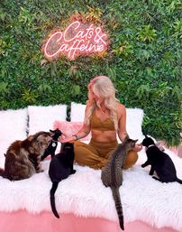 Insta-Worthy Private "Pawty" in Pink Floor-to-Ceiling Cat Cafe (BYOB) image