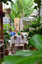 Farm to Table Brunch with Fresh, Local Ingredients image 7