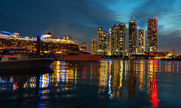 Scenic Miami Night Tour with Skyview Wheel & Hotel Transfers image 4