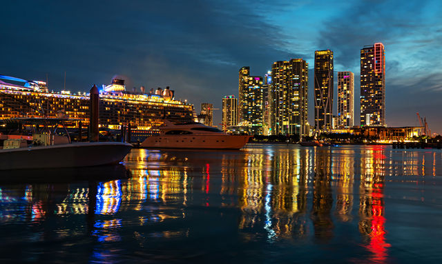 Scenic Miami Night Tour with Skyview Wheel & Hotel Transfers image 4
