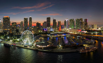 Scenic Miami Night Tour with Skyview Wheel & Hotel Transfers image 1
