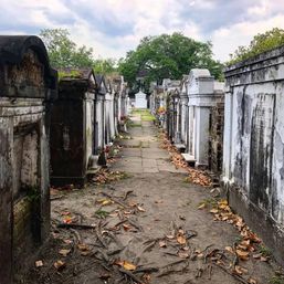 New Orleans Tours: Beyond the Grave, A Witches Walk, History & Haunts, and More image 6