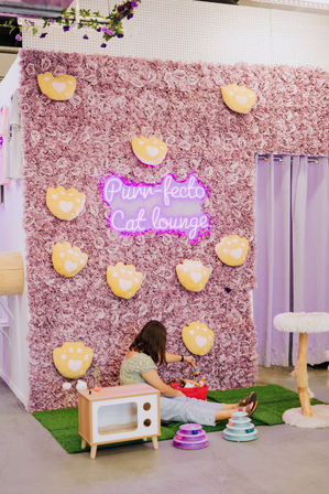 Private PAWty at a Cat Cafe: Adorable Cats + Yoga, Pilates, or Painting Add-Ons Available image 2