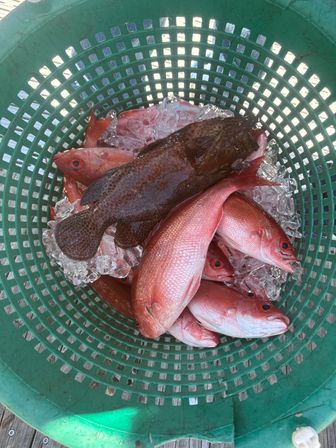 Zeke's Lady Party Boat: Public & Private Fishing Trips image 3