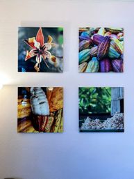 Choose from 3 Extraordinary Chocolate Tours: Sedona & Raw Chocolate Charade, Expedition, or Sedona, Ruins, & Raw Chocolate Frenzy image 13