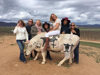 Private Wine Tasting Tour to Baja California! image 13