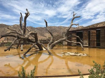 Private Wine Tasting Tour to Baja California! image 16