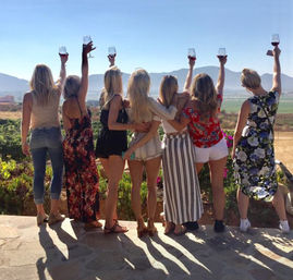Private Wine Tasting Tour to Baja California! image 1