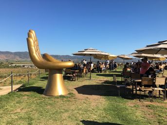 Private Wine Tasting Tour to Baja California! image 20