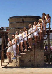 Private Wine Tasting Tour to Baja California! image 2