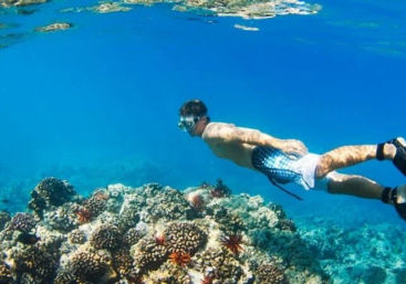 Coral Reef & Shipwreck Snorkeling image 4