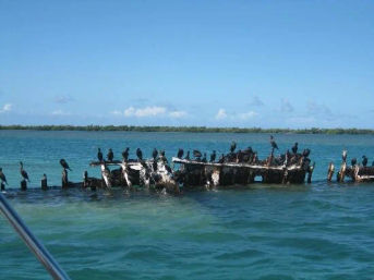 Coral Reef & Shipwreck Snorkeling image 5