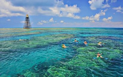 Coral Reef & Shipwreck Snorkeling image