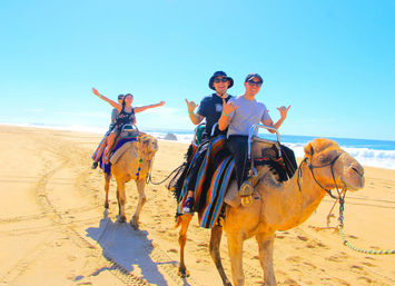 Camel Ride on the Beach with Transportation, Food & More image 11