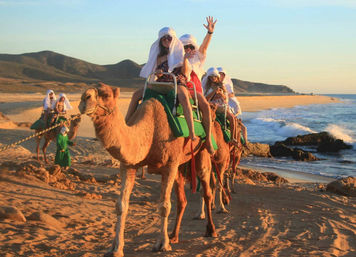 Camel Ride on the Beach with Transportation, Food & More image 7