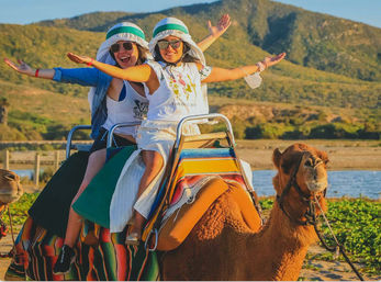 Camel Ride on the Beach with Transportation, Food & More image 10