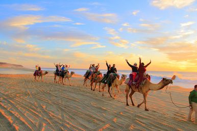 Camel Ride on the Beach with Transportation, Food & More image 3