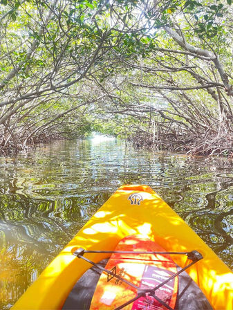 Kayak Adventure Through the Shell Key Preserve image 3