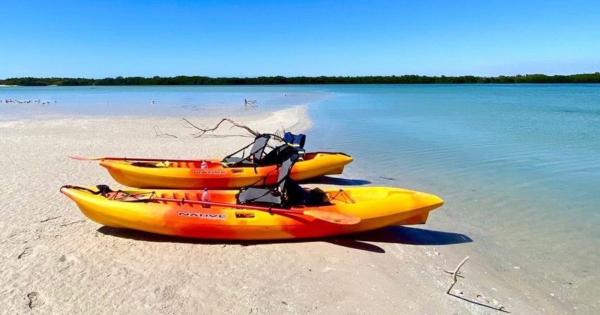 Kayak Adventure Through the Shell Key Preserve image 5