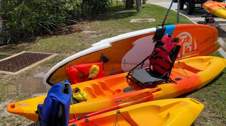 Kayak Adventure Through the Shell Key Preserve image 7