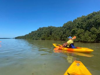 Kayak Adventure Through the Shell Key Preserve image