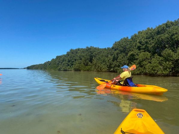 Kayak Adventure Through the Shell Key Preserve image 1