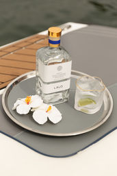 Boat Babes: Boat Charter Party Hosts and VIP Bottle Service on the Lake image 22