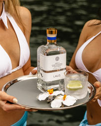 Boat Babes: Boat Charter Party Hosts and VIP Bottle Service on the Lake image 8