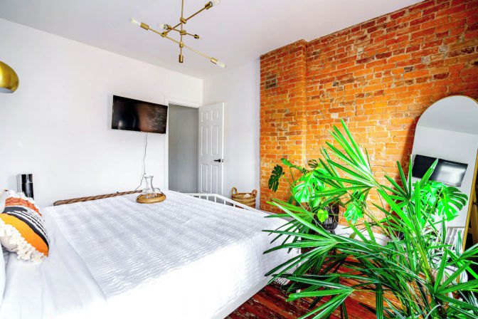 Jungalow: Bold, Plant-Filled Stay with Backyard in Heart of Columbus image 13