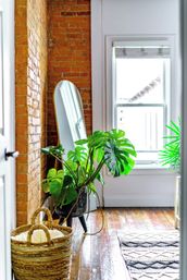 Jungalow: Bold, Plant-Filled Stay with Backyard in Heart of Columbus image 52