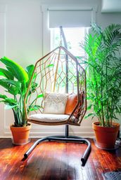 Jungalow: Bold, Plant-Filled Stay with Backyard in Heart of Columbus image 9