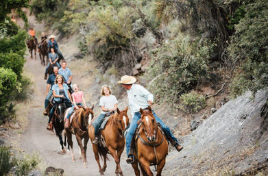 Grand Canyon Horseback Tour with Roundtrip Shuttle from Vegas, Hoover Dam Photo Op and Lunch Included image 1