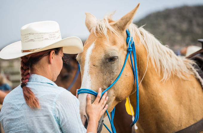 Grand Canyon Horseback Tour with Roundtrip Shuttle from Vegas, Hoover Dam Photo Op and Lunch Included image 4