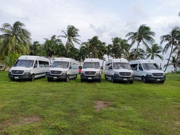 Five white passenger vans lined up on a grassy tropical coastline with palm trees and a cloudy sky