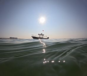 Private Snorkeling Trip with Professional Guide in Orange Beach, AL image 10