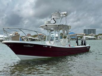 Private Snorkeling Trip with Professional Guide in Orange Beach, AL image 8