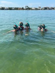 Private Snorkeling Trip with Professional Guide in Orange Beach, AL image 1