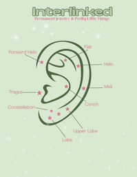 Ear piercing chart vector on mint green background showing pink star markers and labeled piercing placements: Forward Helix, Flat, Helix, Tragus, Conch, Midi, Constellation, Upper Lobe, and Lobe — clear piercing placement diagram.
