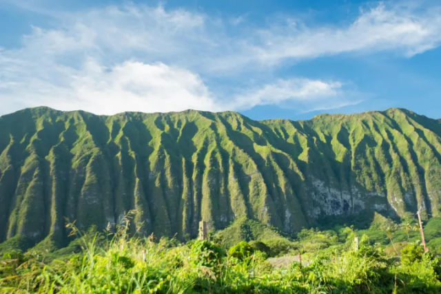 Beautiful Colors of Hawaii Photo Tour: Oʻahu Scenic Half-Day Tour image 4