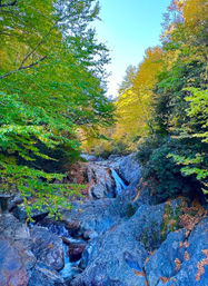 Jeep Off-Roading Adventure & Waterfall Hike in Pisgah National Forest image 7