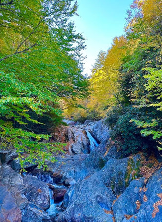 Jeep Off-Roading Adventure & Waterfall Hike in Pisgah National Forest image 7