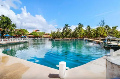 Perfect Stay: Newly Renovated 4 BR Villa in Puerto Aventuras image 22