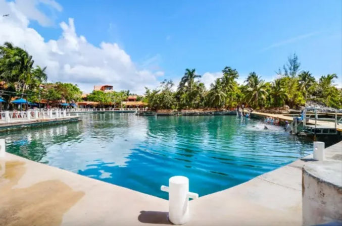 Perfect Stay: Newly Renovated 4 BR Villa in Puerto Aventuras image 22