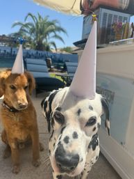 Frozen Bliss AZ Mobile Bevies: Bringing the Party to You! image 43