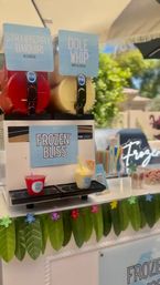 Frozen Bliss AZ Mobile Bevies: Bringing the Party to You! image 27